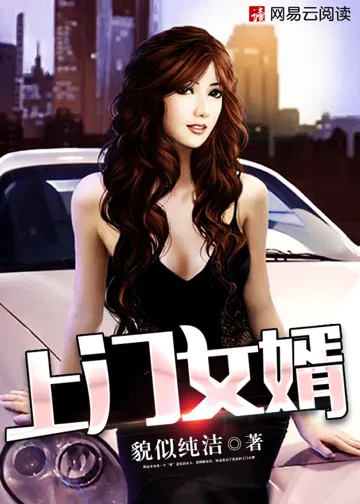 上门女婿 小说封面