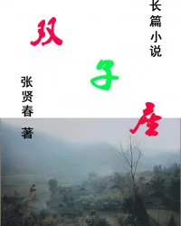双子座 book cover