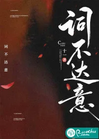 词不达意 book cover