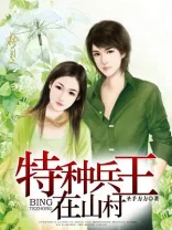 特种兵王在山村 Buchcover