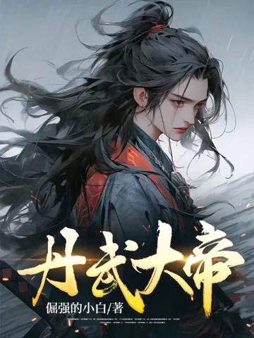 丹武大帝 book cover