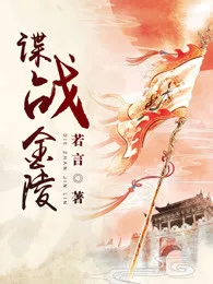 谍战金陵 Buchcover
