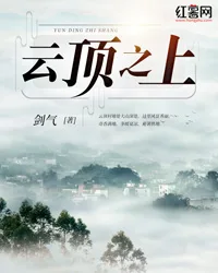 云顶之上 小说封面