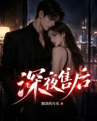 深夜售后 book cover