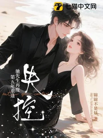 第五年重逢，驰先生再度失控 book cover