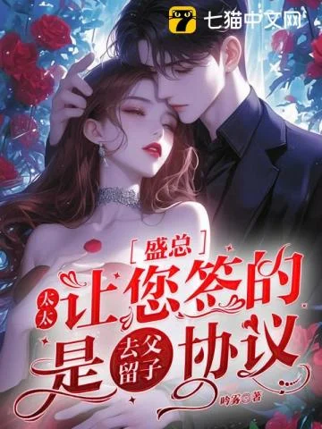 盛总，太太让您签的是去父留子协议 book cover
