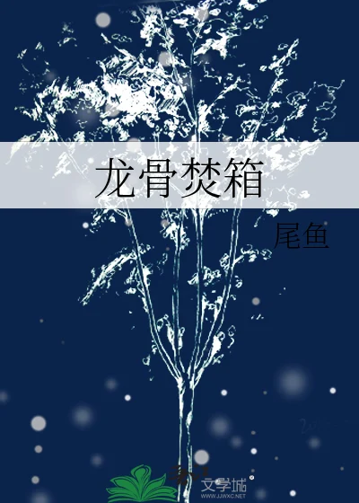 龙骨焚箱 book cover