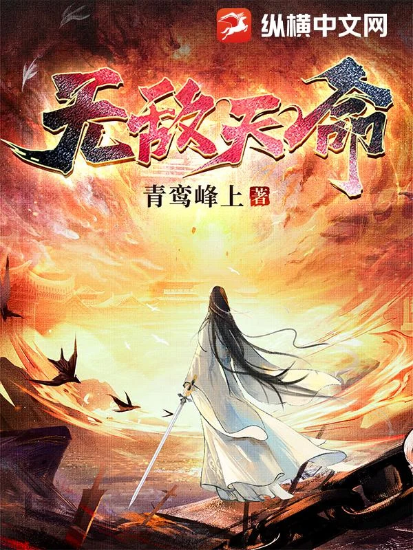 无敌天命 book cover