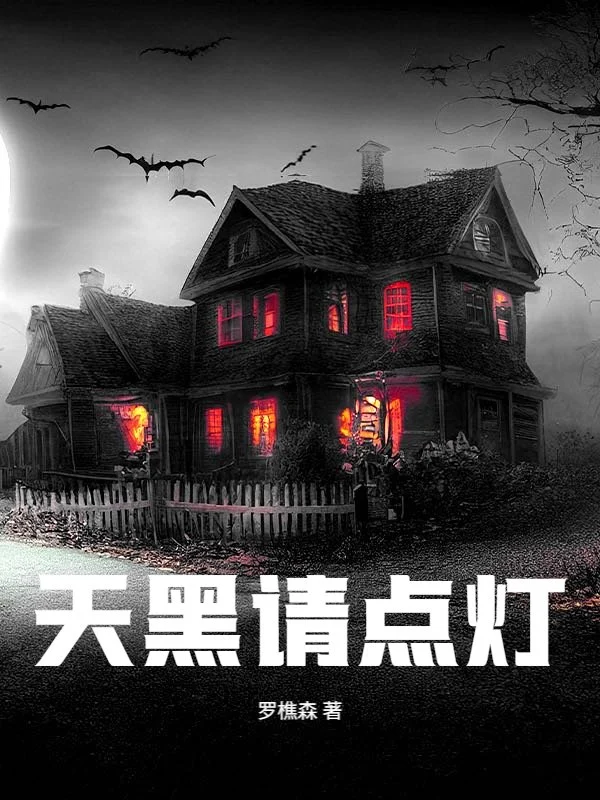 天黑请点灯 book cover