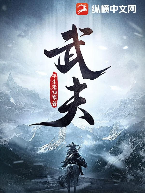 武夫 book cover