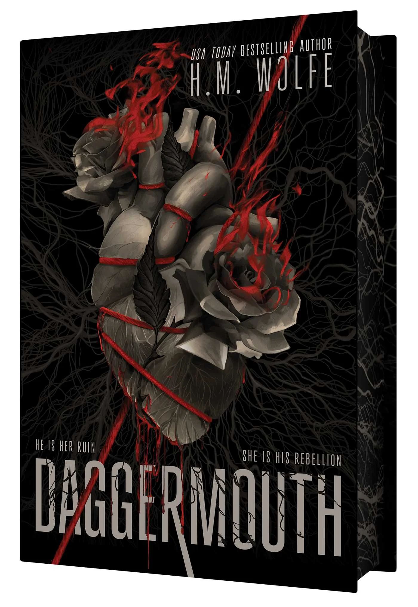 Daggermouth book cover