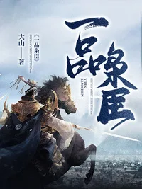 《一品枭臣》封面