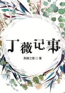 《丁薇记事》封面