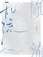 《乱流》封面