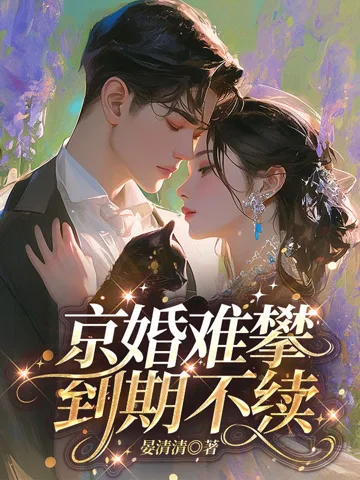 《京婚难攀，到期不续》封面