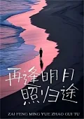 《再逢明月照归途》封面