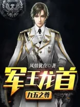 《军王龙首（九五之尊）》封面
