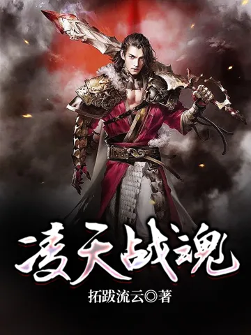 《凌天战魂》封面