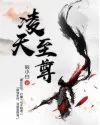 《凌天至尊》封面