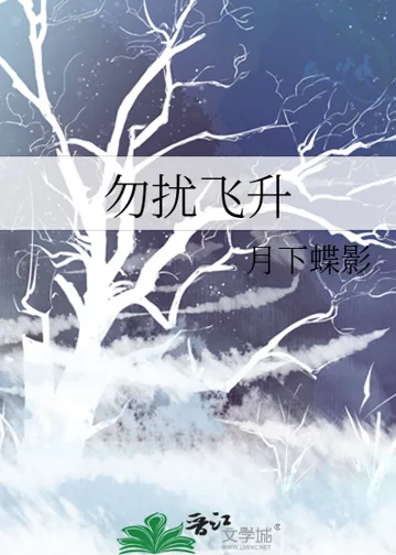 《勿扰飞升》封面