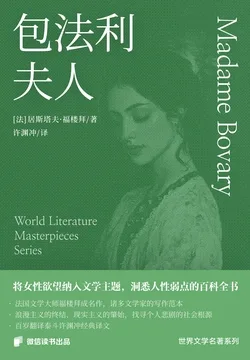 《包法利夫人》封面