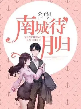 《南城待月归》封面