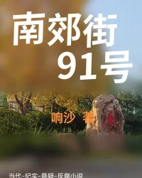 《南郊街91号》封面