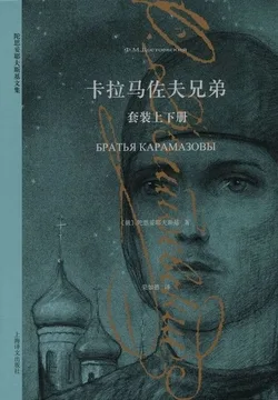 《卡拉马佐夫兄弟（套装上下册）（陀思妥耶夫斯基文集2015）》封面