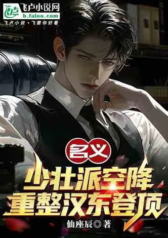 《名义：中枢团宠，重回汉东登顶！》封面