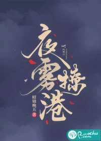 《夜雾撩港》封面