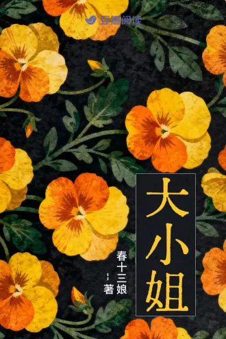 《大小姐》封面