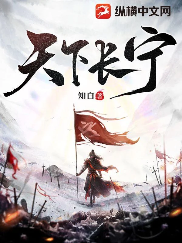 《天下长宁》封面