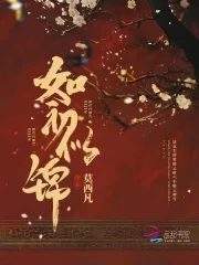 《如初似锦》封面