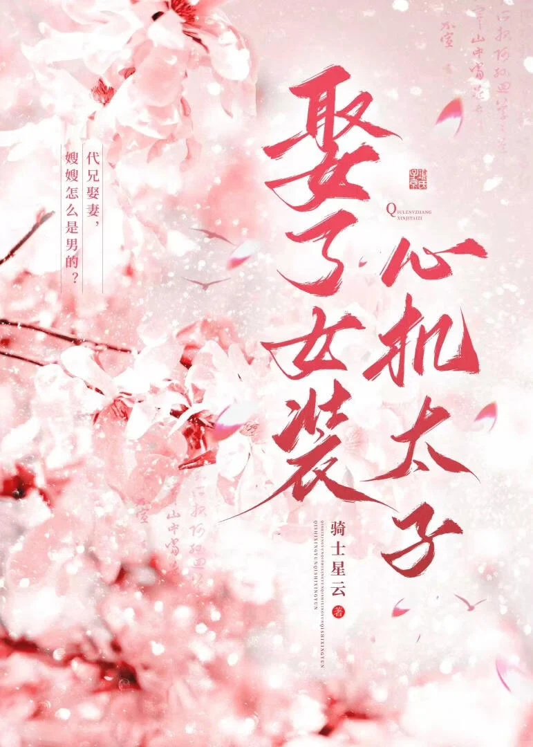 《娶了女装心机太子》封面