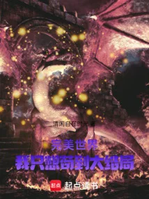《完美世界：吾乃世界之主》封面