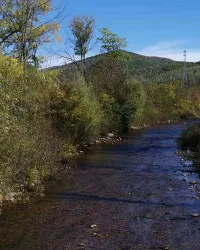 《家乡的那山那水》封面