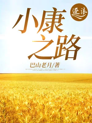 《小康之路》封面