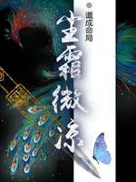 《尘霜微凉》封面