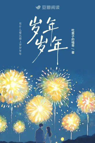 《岁岁年年》封面