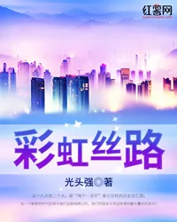 《彩虹丝路》封面