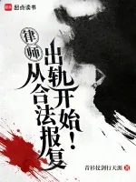 《律师：从合法报复出轨开始！》封面