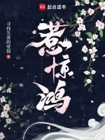 《惹惊鸿》封面