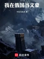 《我在俄国当文豪》封面