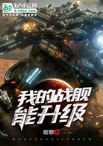《我的战舰能升级》封面