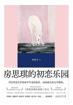《房思琪的初恋乐园（精编版）》封面