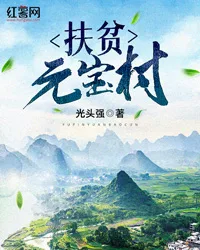 《扶贫元宝村》封面