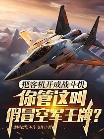 《把客机开成战斗机，你管这叫假冒空军王牌？》封面
