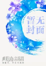 《高原迷局》封面