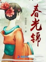 《春光锦》封面