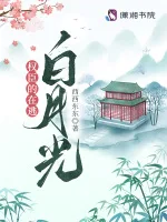 《权臣的在逃白月光》封面